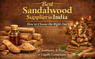 Best Sandalwood Supplier in India – How to Choose the Right One